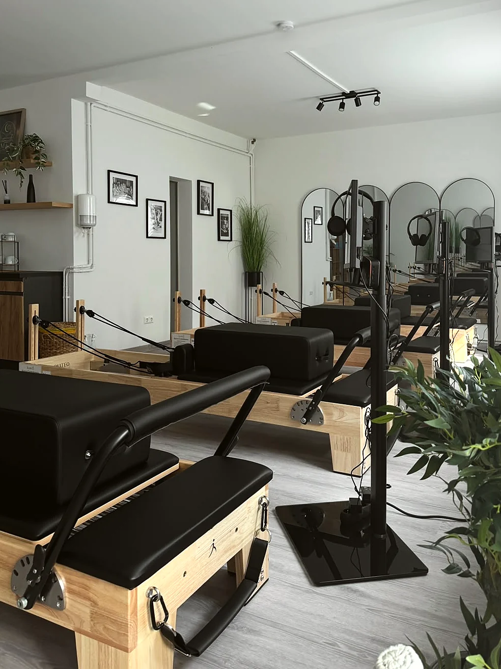 Mehrere Reformer nebeneinander im Studio, im Hintergrund die Spiegelwand.